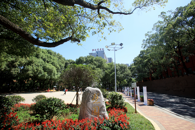 1507450359165034552.jpg 4.jpg