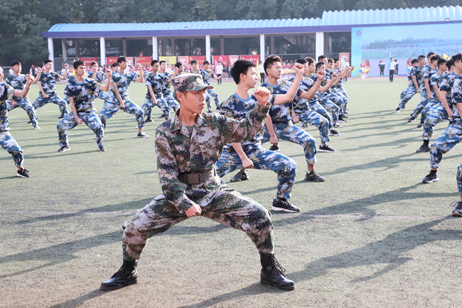 1541561804424026146.png 5_副本.png