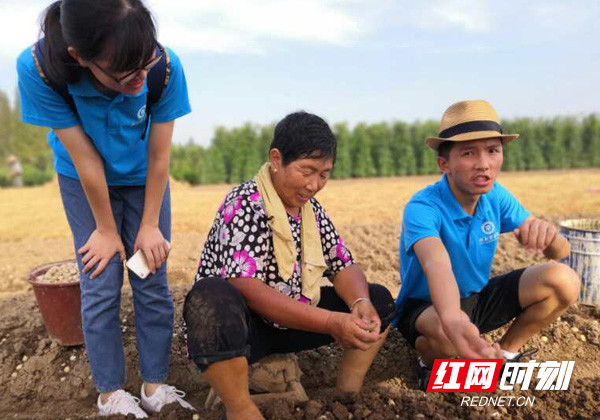 1535469335400034196.jpg 微信图片_20180828231441.jpg